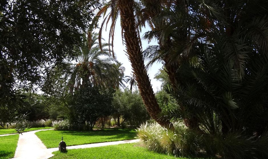 L'Ma Lodge Skoura Exterior foto